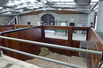 World Horse Trust for NL 6 World Horse Trust for NL 6