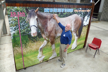 World Horse Trust for NL 8 2 World Horse Trust for NL 8 2
