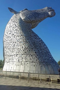 KELPIES 1 FOR NL KELPIES 1 FOR NL